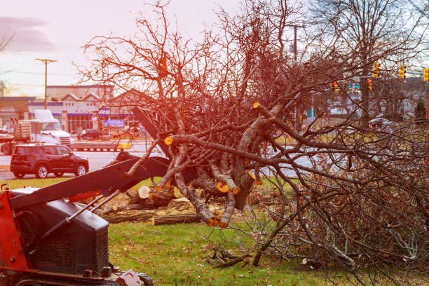 Best Seasonal Cleanup (Spring/Fall)  in Hastings, PA