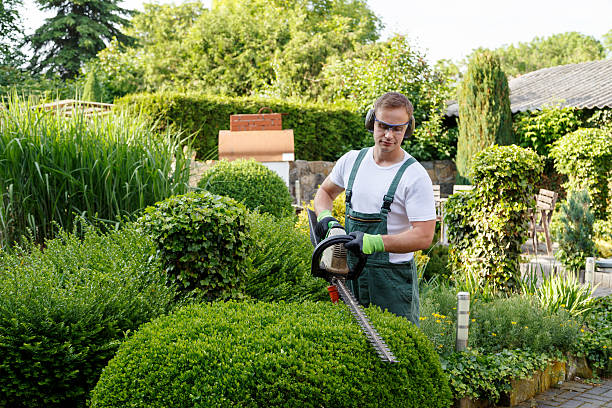 Best Grass Overseeding  in Hastings, PA